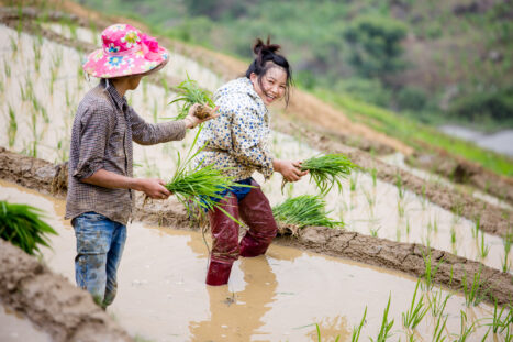 vietnam web (15 of 39)