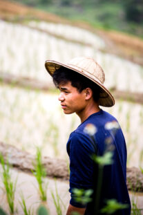 vietnam web (17 of 39)