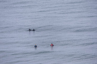 Tyler-Wright-bells-beach-wsl-2025-emiliasuboczphotography-w10