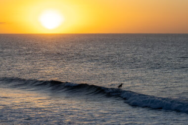 bells-beach-wsl-2025-emiliasuboczphotography-w4